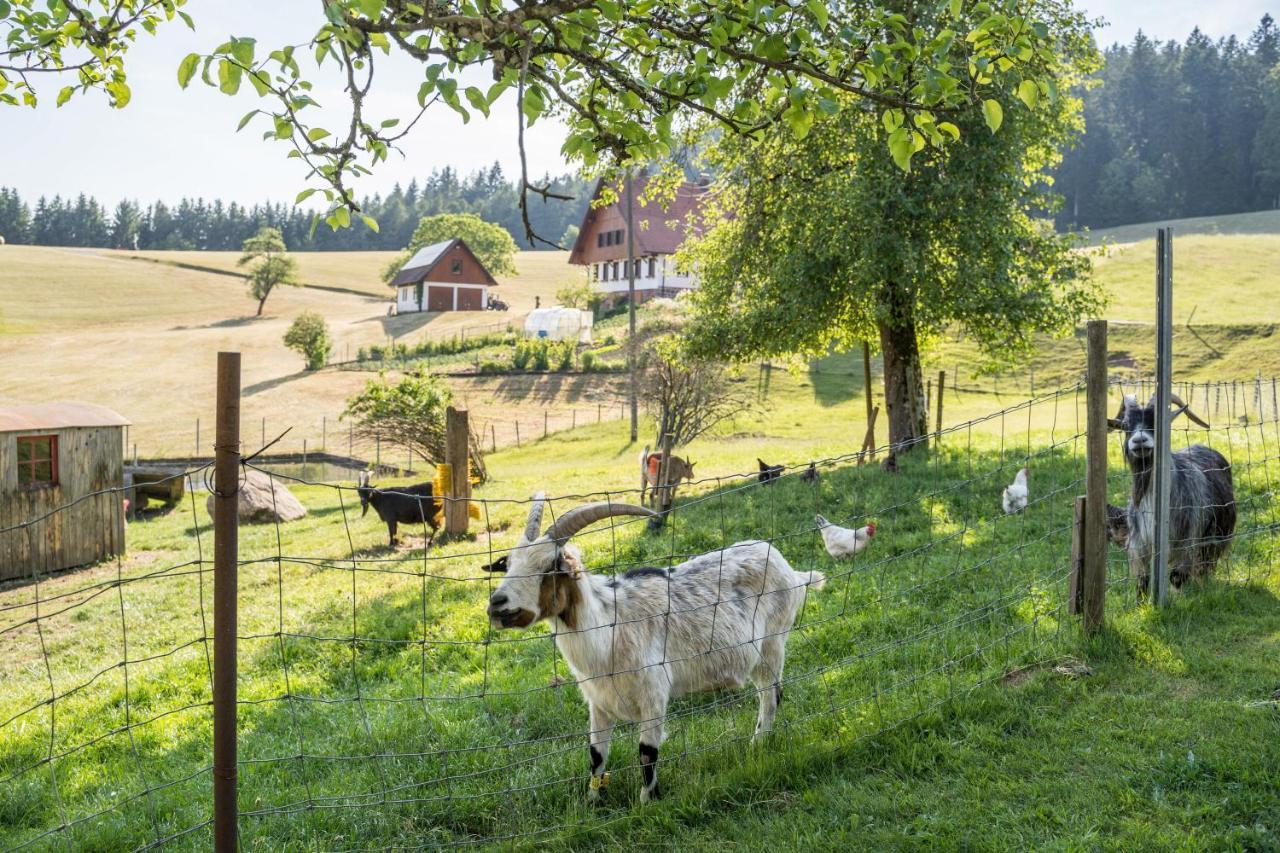 Klausenhansenhof Вольфах Екстер'єр фото